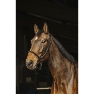 lädergrimma anatomiskt nackstycke repdeetaljer grooming för enklare skötsel från norton pro komfort stil bra pris hästutrustning