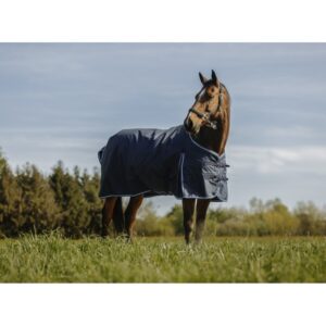 prisvärt regntäcke utetäcke till häst 600D från riding world billigt eco bra pris bogveck hästutrustning