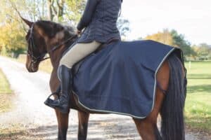 prisvärt skrittäcke ländtäcke vattentätt till häst med fleecefoder från shires tempest original waterproof bra pris hästtäcke hästutrustning