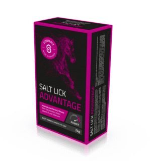 saltsten 2kg till häst från equisalt advantage saltbalans till 2kg bra pris fodertillskott hage box stall bete med elektrolyter biotin vitamin-e selen