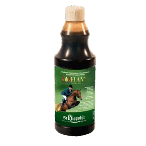 effektiv snabb energi booster till tävlingshäst från st hippolyt nordic qelan 500ml effektivt fodertillskott inför tävlingsprestation bra pris