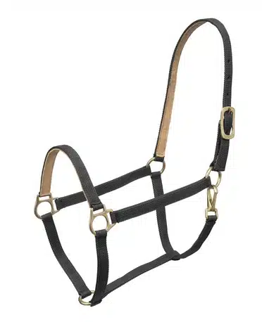exklusiv prisvärd trevlig kraftig nylongrimma med fodrad skinn ljusbrunt från wahlsten yankee stabil mjuk grimma populär i travstall bra pris hästutrustning travutrustning travhäst