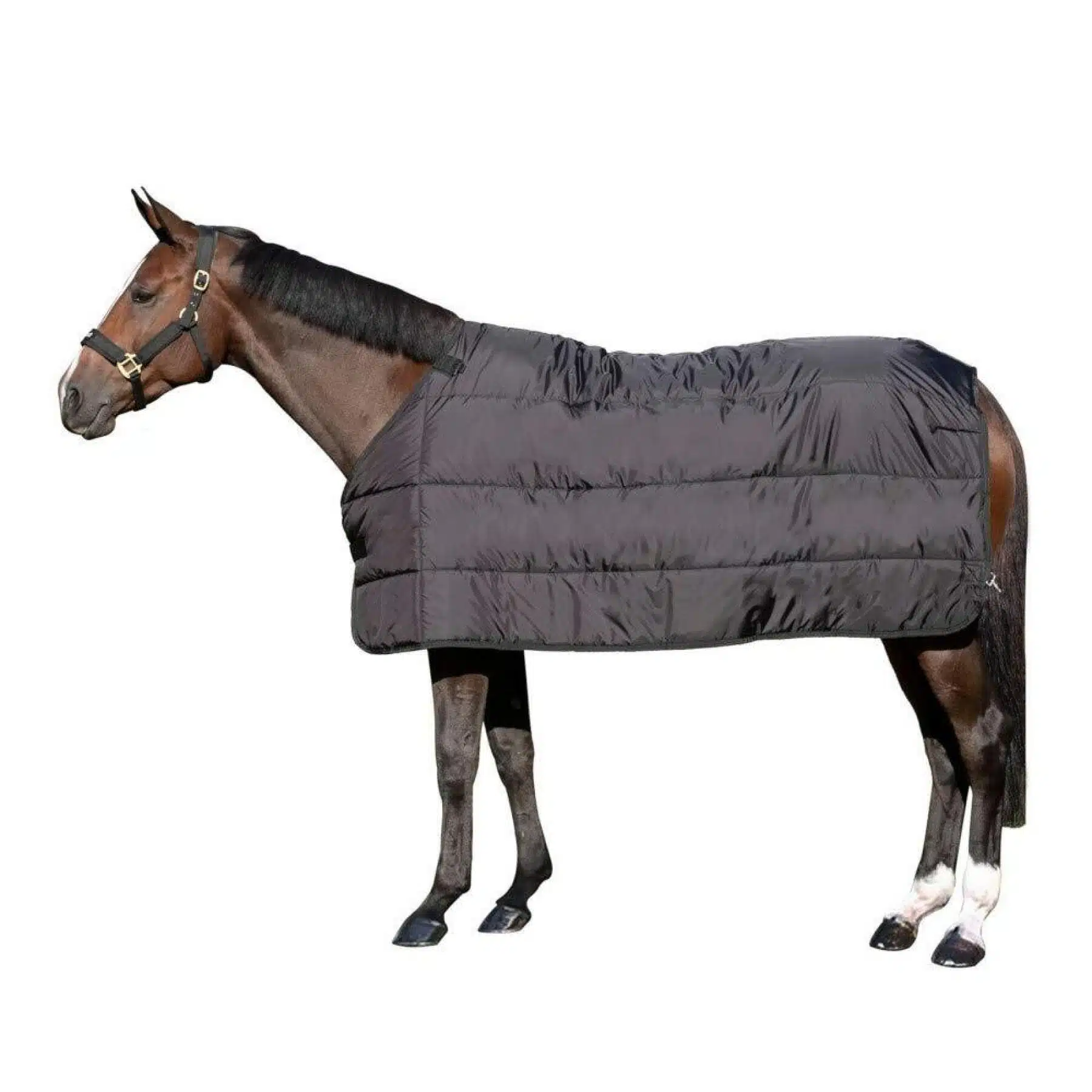 effektivt värmande liner stalltäcke från back on track med welltex teknologi felix rug liner fästs i befintligt utetäcke hästtäcke ökar blodcirkulationen i muskler bra pris hästutrustning fri frakt fraktfritt