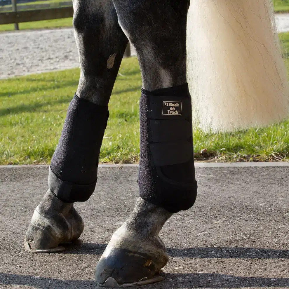 effektiva skyddande benskydd snabbandage med kardborre för hästens ben skyddar mot slag strykningar vid arbete från back on track welltex exercise boot supreme bra pris hästutrustning fri frakt fraktfritt