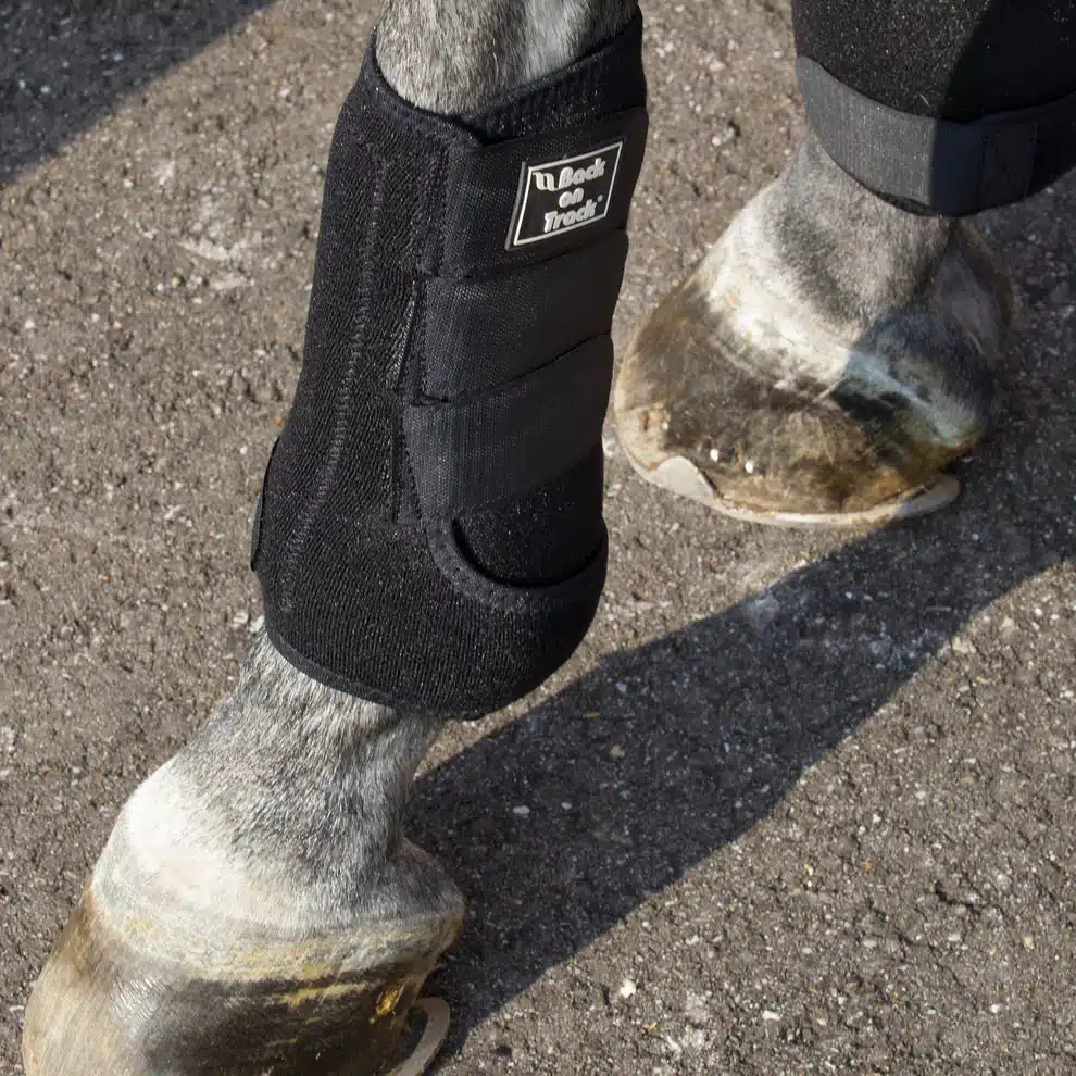 effektiva skyddande benskydd snabbandage med kardborre för hästens ben skyddar mot slag strykningar vid arbete från back on track welltex exercise boot supreme bra pris hästutrustning fri frakt fraktfritt