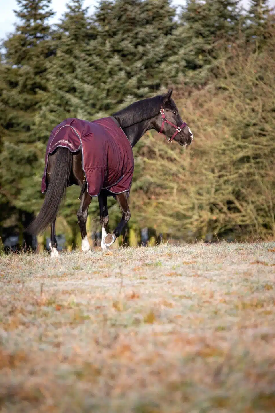 trevligt prisvärt utetäcke slitstarkt övergångstäcke till häst 100g fyllning bra passform från horse guard landon turnout rug bra pris hästtäcke hästutrustning fri frakt fraktfritt