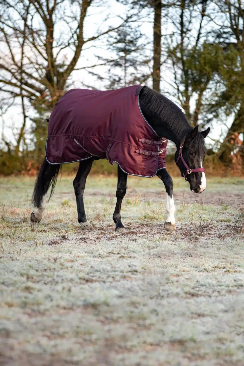 trevligt prisvärt utetäcke slitstarkt övergångstäcke till häst 100g fyllning bra passform från horse guard landon turnout rug bra pris hästtäcke hästutrustning fri frakt fraktfritt