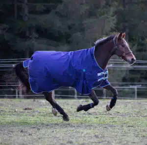 prisvärd slitstarkt utetäcke övergångstäcke till häst med halvhals bogveck 100g fyllning bra pris från shires higlander highneck plus 1200D fri frakt fraktfritt