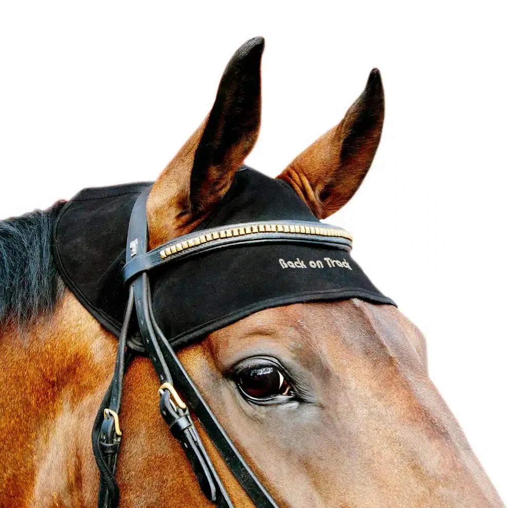effektivt smidigt nackskydd till häst med welltex från back on track hästnackskydd som ökar blodcirkulationen och släpper på spänningar vid ridning under transport bra pris hästutrustning välmående