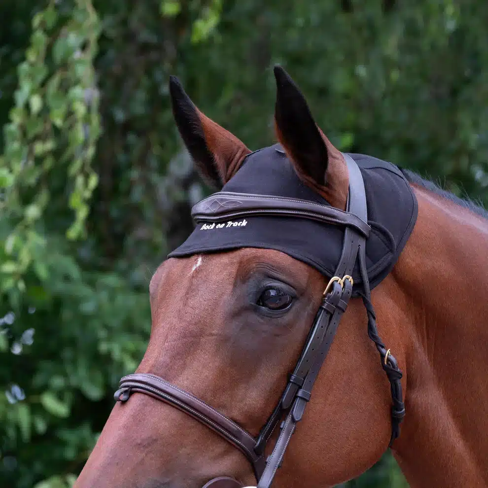 effektivt smidigt nackskydd till häst med welltex från back on track hästnackskydd som ökar blodcirkulationen och släpper på spänningar vid ridning under transport bra pris hästutrustning välmående