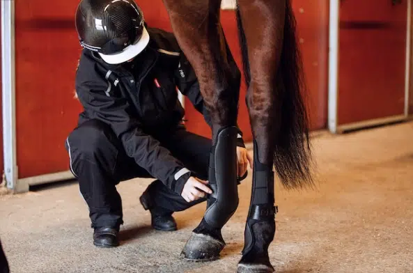 trevliga prisvärda enkla gamascher benskydd till hästens bakben med speedcut läpp kardborre samt spänne från finn tack pro fetlock protection boots fri frakt fraktfritt bra pris travutrustning