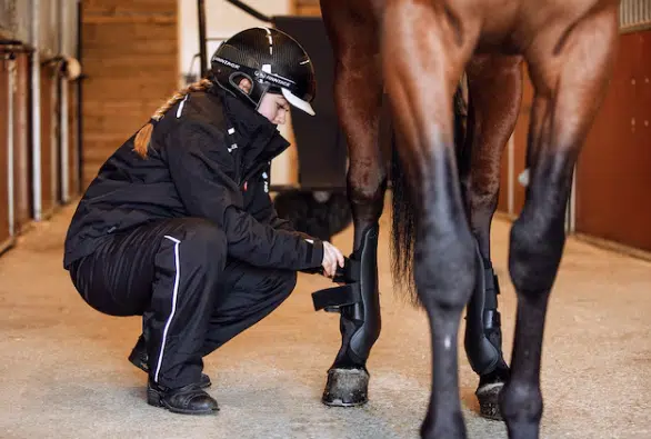 trevliga prisvärda enkla gamascher benskydd till hästens bakben med speedcut läpp kardborre samt spänne från finn tack pro fetlock protection boots fri frakt fraktfritt bra pris travutrustning