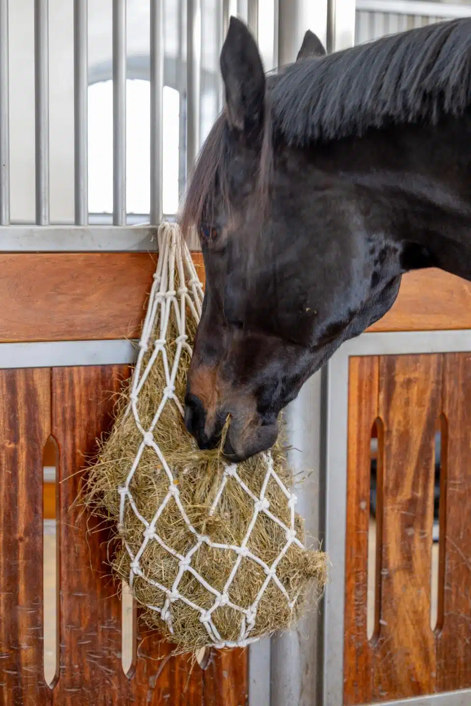 prisvärt billigt mjukt hönät till häst i bomull från horse guard off-white sloowfeed minskar spill utfodring av häst djur bra pris hästutrustning stallinredning transport