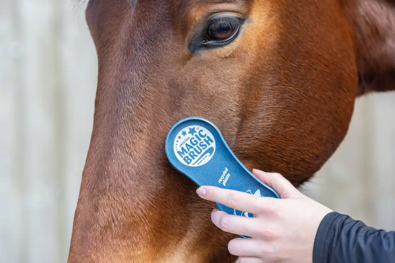 effektiv populär storsäljare multiborste från magic brush för smutsfläckar ingrodd svett fällning vattenskrapa till häst cornflowers recycle
