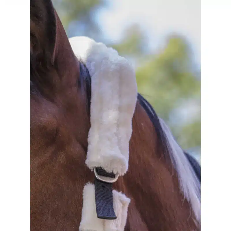 billig prisvärd mysig nylongrimma helt i teddy avtagbart med kardborre över alla remmar från norton till häst känslig häst mot skav tryck bra pris hästutrustning full synthetic sheepskin