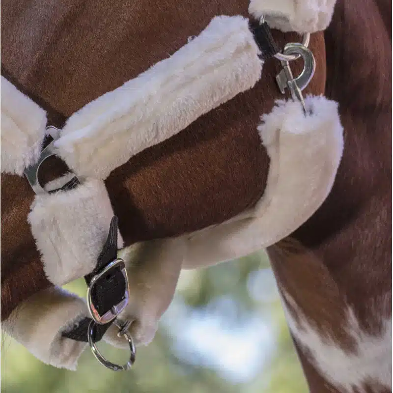 billig prisvärd mysig nylongrimma helt i teddy avtagbart med kardborre över alla remmar från norton till häst känslig häst mot skav tryck bra pris hästutrustning full synthetic sheepskin