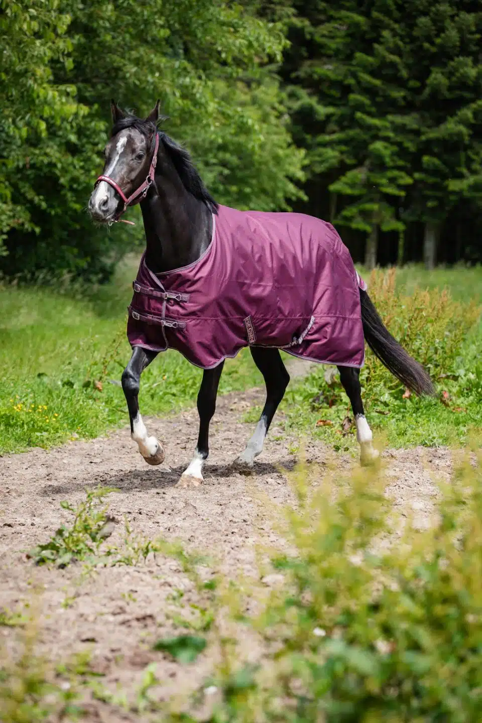 slitstarkt utetäcke regntäcke hästtäcke ofodrat 0g i 1200D till häst från horse guard landon turnout rug bra pris hästutrustning fri frakt fraktfritt