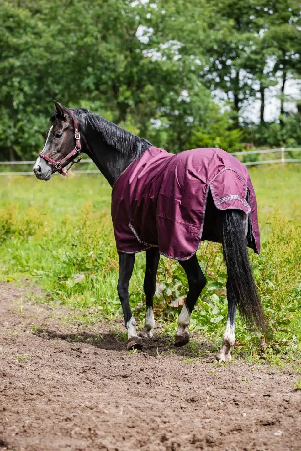 slitstarkt utetäcke regntäcke hästtäcke ofodrat 0g i 1200D till häst från horse guard landon turnout rug bra pris hästutrustning fri frakt fraktfritt