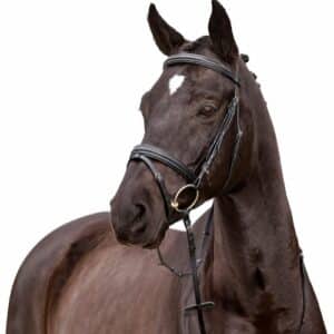 prisvärt klassiskt träns till häst med engelsk nosgrimma aachennosgrimma från horse guard ayal inklusive tyglar supergriptygel bra pris hästutrustning fri frakt fraktfritt