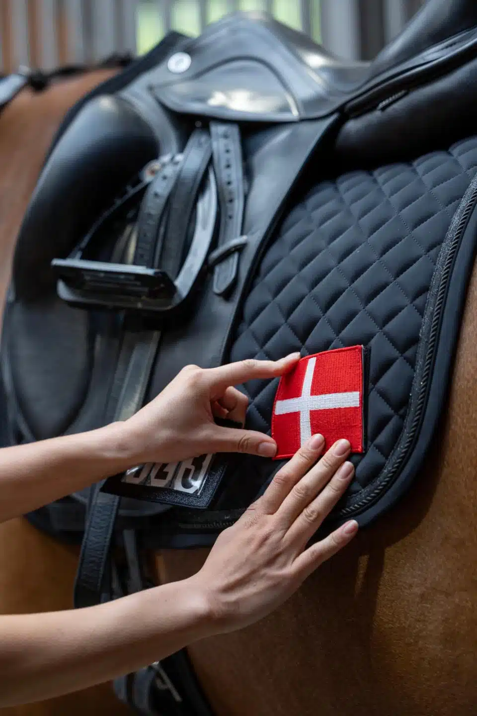 trevligt exklusivt stilrent allroundschabrak schabrak hoppschabrak till häst från catago treasure 2.0 med glitter bra passform bra pris hästutrustning fri frakt fraktfritt