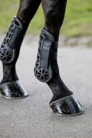 lätta smidiga senskydd benskydd till häst från catago i lättvikts material giftfritt eva tendon boots stöttåliga för ridning körning hage med kardborre bra pris hästutrustning fri frakt fraktfritt
