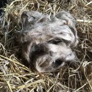 effektivt hovvård tjärdrev för att sätta in i hålväggar i hoven torkar ut från ekholms prob bra pris hästvård hovslagare