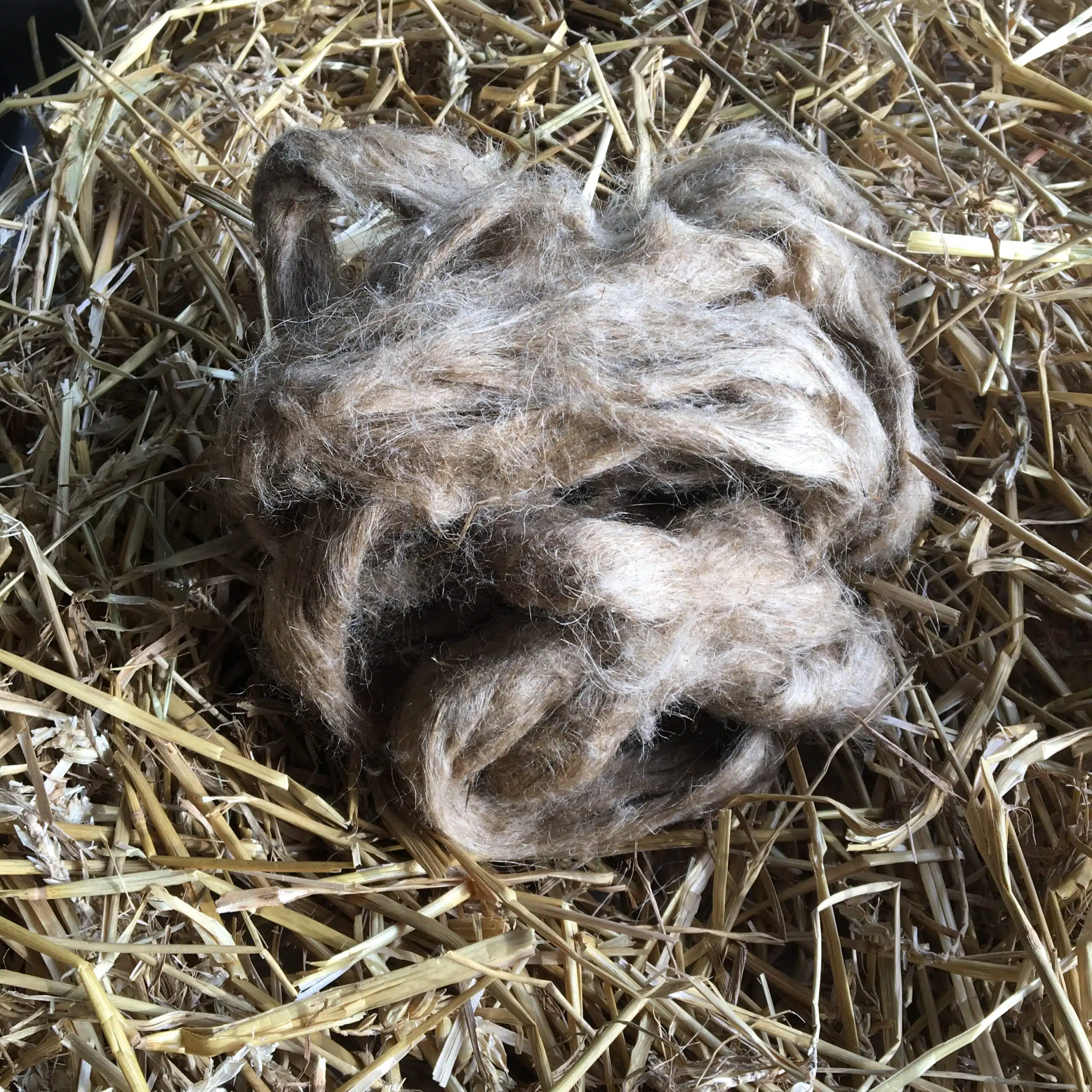 effektivt hovvård tjärdrev för att sätta in i hålväggar i hoven torkar ut från ekholms prob bra pris hästvård hovslagare