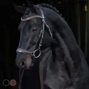 prisvärt trevligt träns med remontnosgrimma remontträns från hansbo sport helix för unghäst bra pris hästutrustning fri frakt fraktfritt