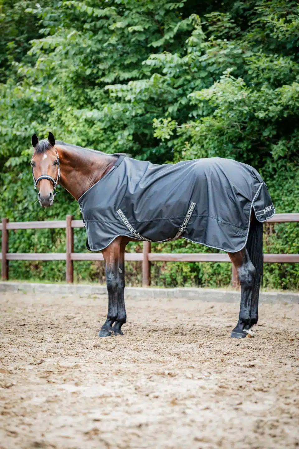 prisvärt regntäcke 50g fleecefodrat utetäcke till häst från horse guard aron turnout rug 600D 5000 vattenpelare bra passform bra pris hästtäcke hästutrustning fri frakt fraktfritt