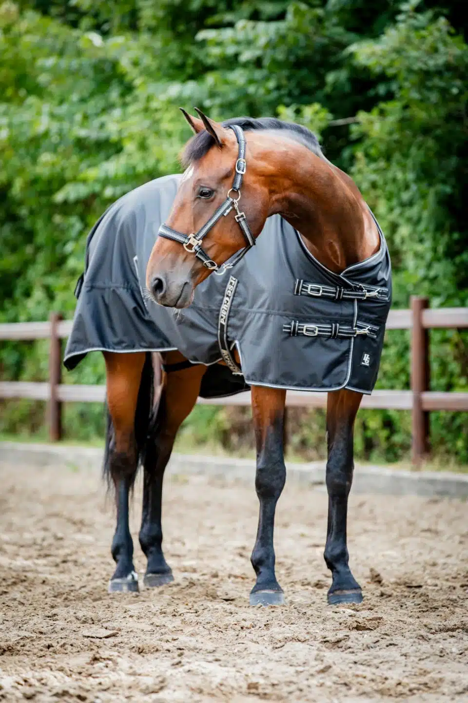 prisvärt regntäcke 50g fleecefodrat utetäcke till häst från horse guard aron turnout rug 600D 5000 vattenpelare bra passform bra pris hästtäcke hästutrustning fri frakt fraktfritt