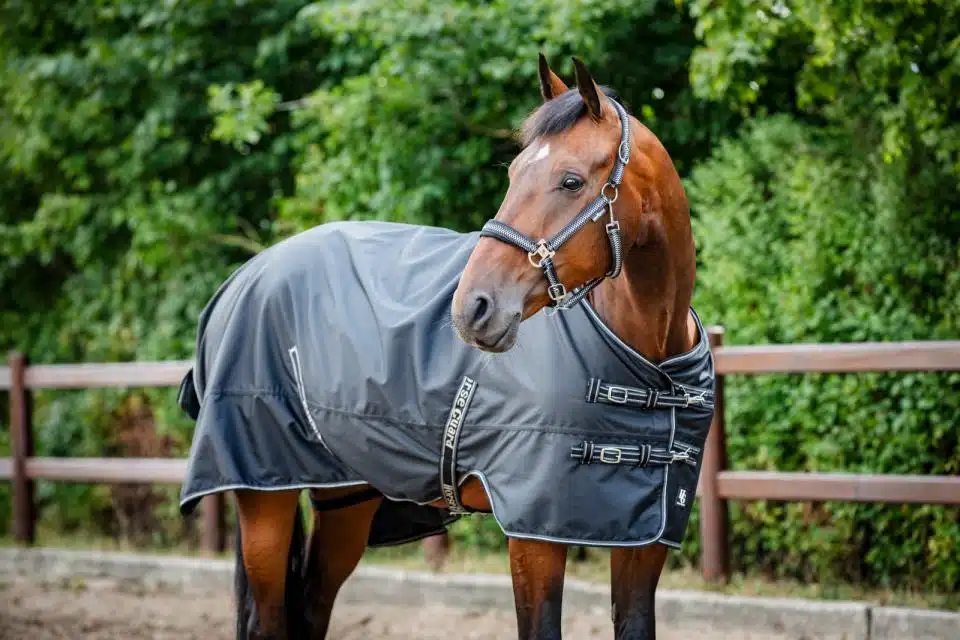 prisvärt regntäcke 50g fleecefodrat utetäcke till häst från horse guard aron turnout rug 600D 5000 vattenpelare bra passform bra pris hästtäcke hästutrustning fri frakt fraktfritt