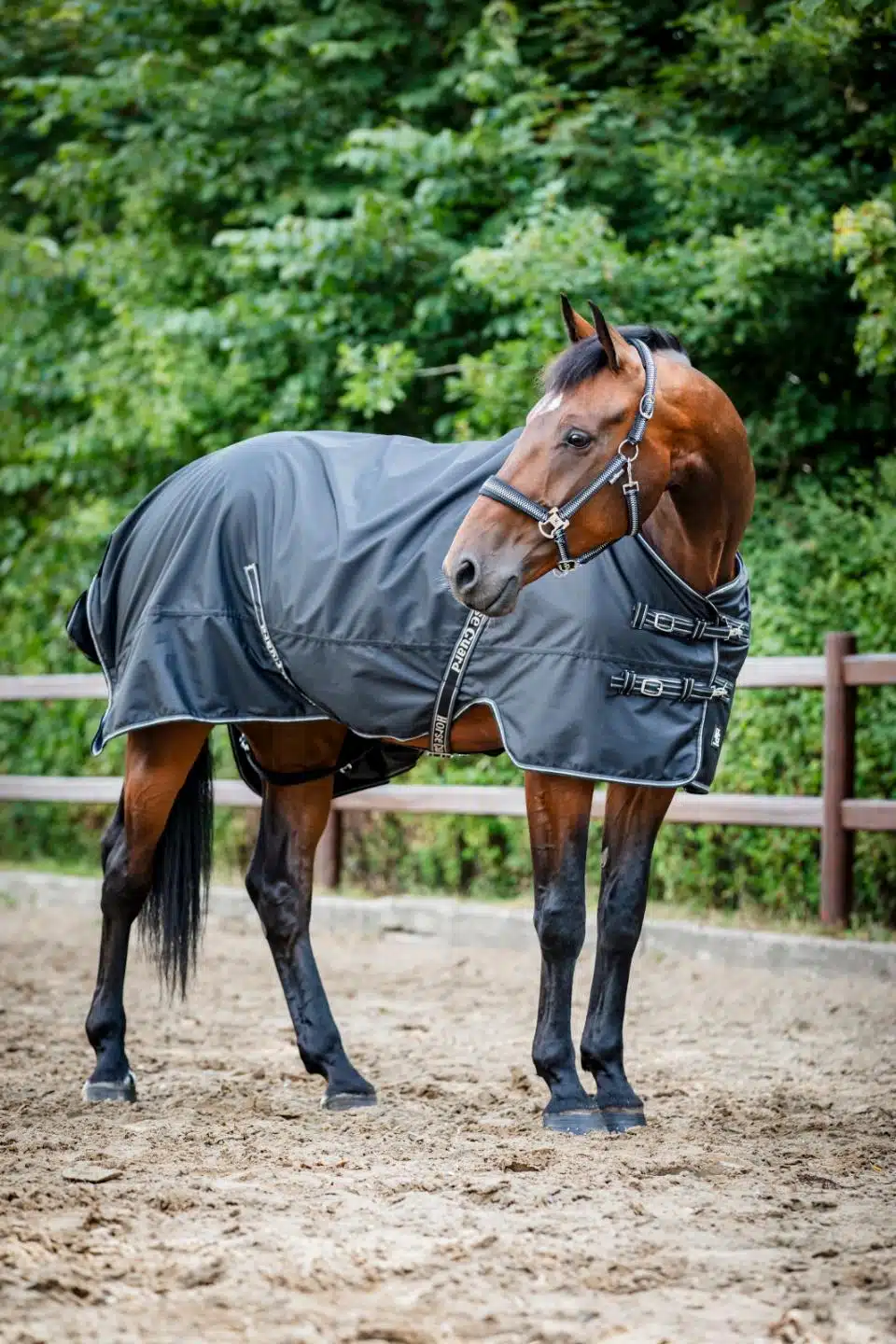 prisvärt regntäcke 50g fleecefodrat utetäcke till häst från horse guard aron turnout rug 600D 5000 vattenpelare bra passform bra pris hästtäcke hästutrustning fri frakt fraktfritt