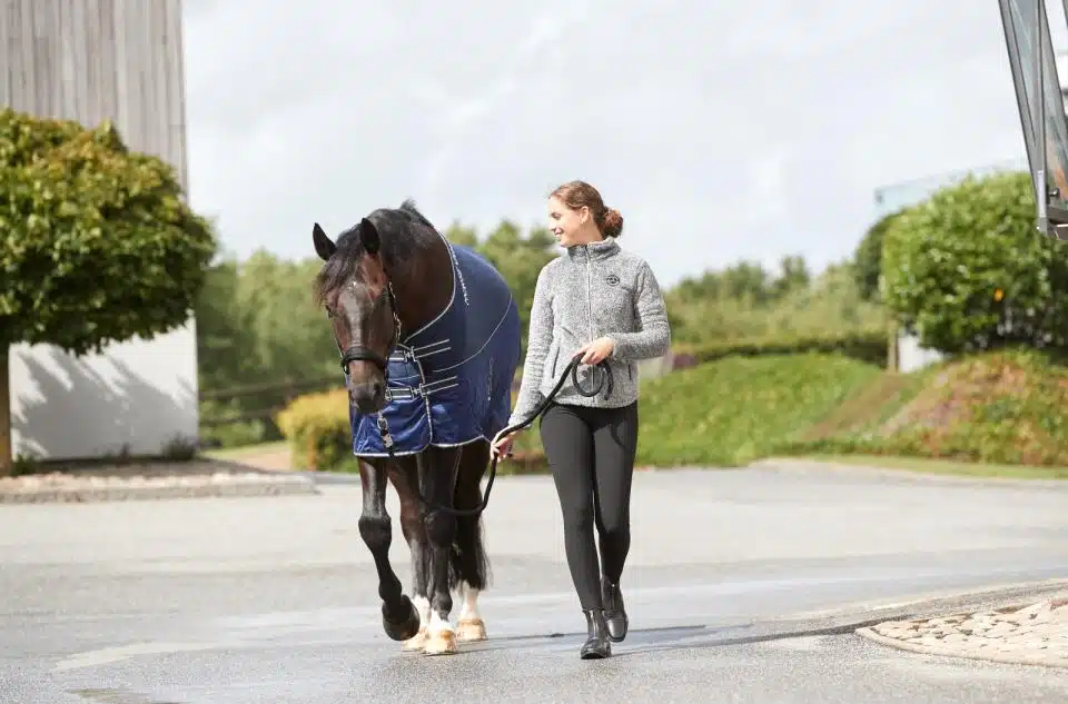prisvärd lätt enkelt snyggt stilrent funtionellt svettäcke nättäcke med fleece hästtäcke till häst för transport box transporterar bort fukt från hästens kropp bra pris hästutrustning fri frakt fraktfritt horse guard mitch cooler