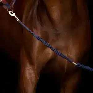 trevligt elastiskt grimskaft från hansbo sport enja för ledning promenad av häst bra pris hästutrustning unik design