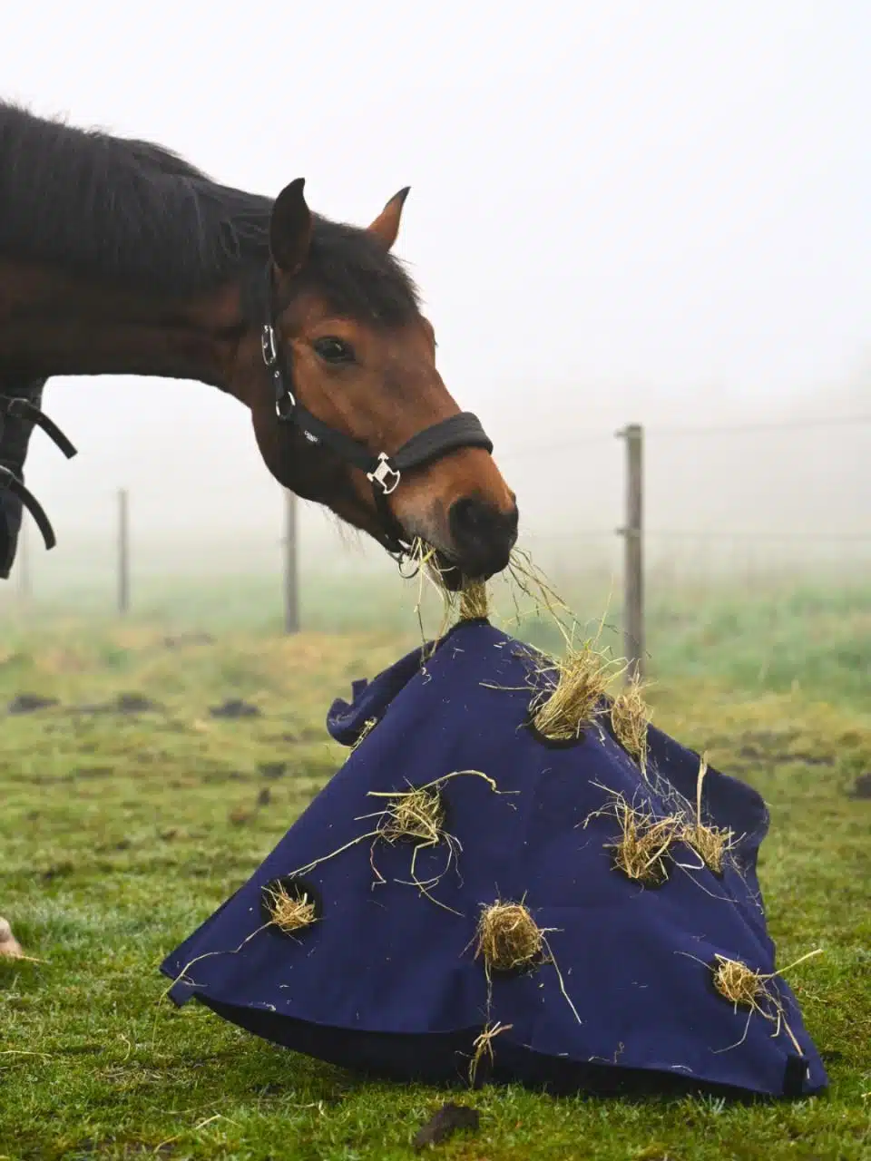 smidig effektiv höpåse hökudde till häst från horse guard pillow som kan användas i hage box för en långsammare utfodring slowfeed bra pris hästutrustning stall ryttare