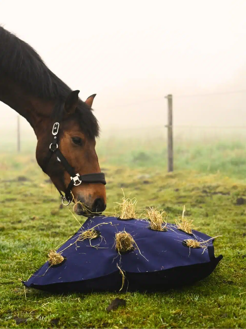 smidig effektiv höpåse hökudde till häst från horse guard pillow som kan användas i hage box för en långsammare utfodring slowfeed bra pris hästutrustning stall ryttare