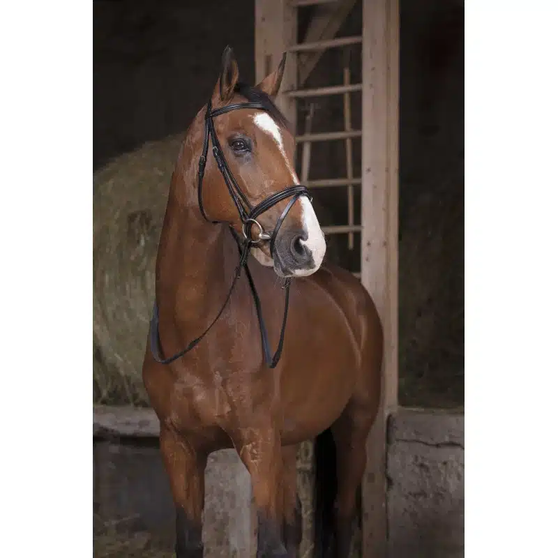 tjocka stabila gummityglar för ridning av häst från norton pro cuir de buffle bra pris hästutrustning ryttare