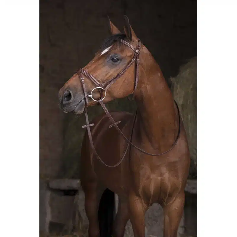 prisvärd bred lädertygel gummiinsida från norton pro hel i läder med martingalstopp silverspännen bra pris hästutrustning ridning ryttare