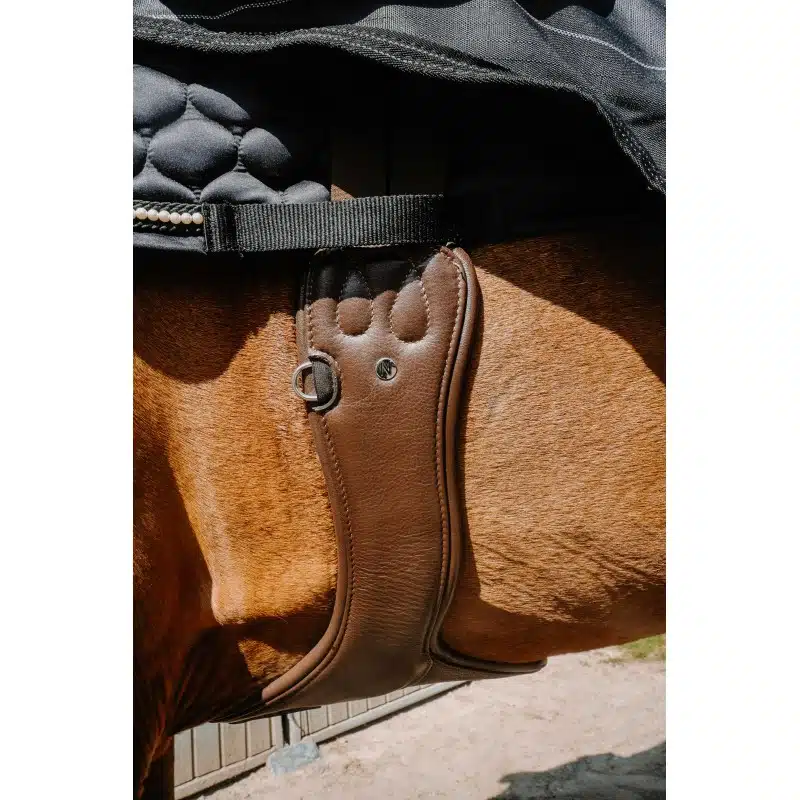 trevlig sadelhjord hoppgjord med magplatta till häst från norton pro protec med bra rörelsefrihet för framben snabbknäppe under magen mjuk soft bra pris hästutrustning fri frakt fraktfritt