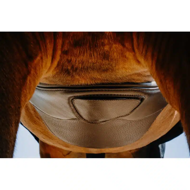 trevlig sadelhjord hoppgjord med magplatta till häst från norton pro protec med bra rörelsefrihet för framben snabbknäppe under magen mjuk soft bra pris hästutrustning fri frakt fraktfritt