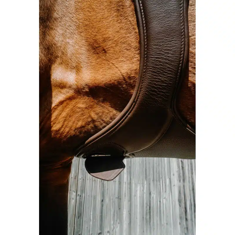 trevlig sadelhjord hoppgjord med magplatta till häst från norton pro protec med bra rörelsefrihet för framben snabbknäppe under magen mjuk soft bra pris hästutrustning fri frakt fraktfritt