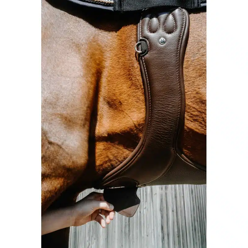 trevlig sadelhjord hoppgjord med magplatta till häst från norton pro protec med bra rörelsefrihet för framben snabbknäppe under magen mjuk soft bra pris hästutrustning fri frakt fraktfritt