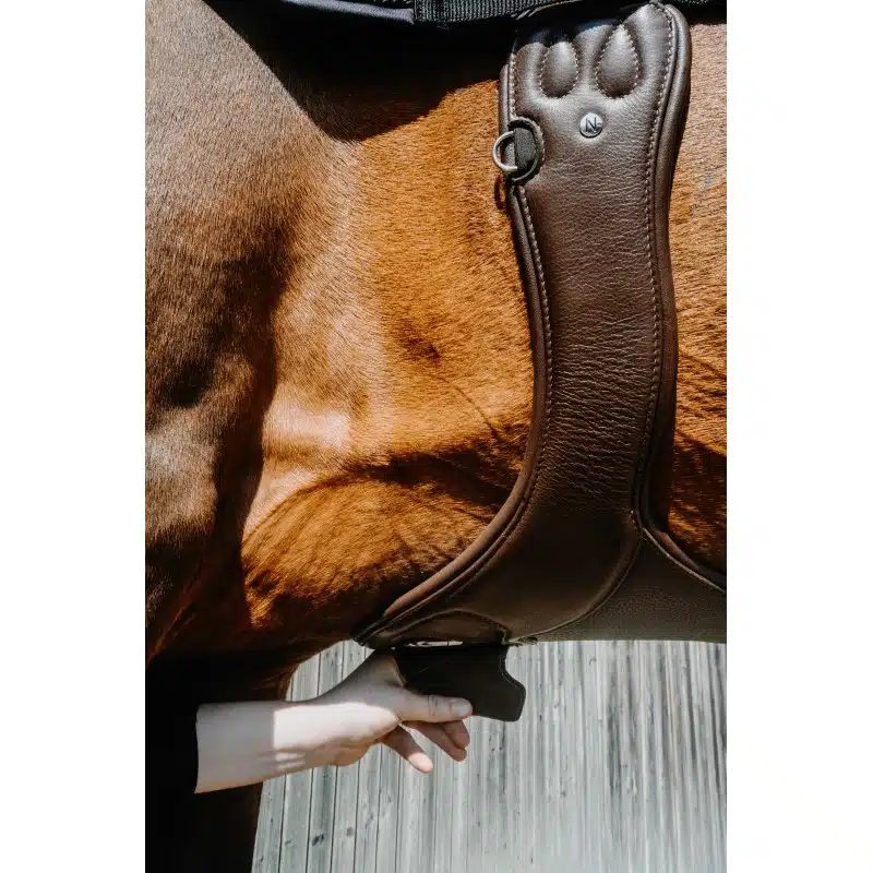 trevlig sadelhjord hoppgjord med magplatta till häst från norton pro protec med bra rörelsefrihet för framben snabbknäppe under magen mjuk soft bra pris hästutrustning fri frakt fraktfritt