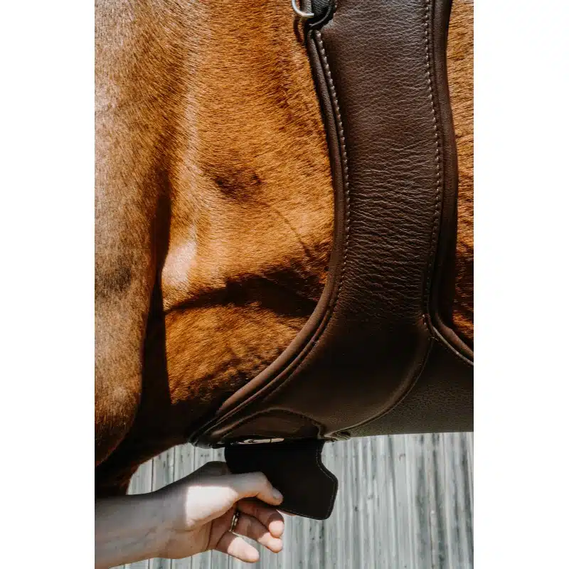 trevlig sadelhjord hoppgjord med magplatta till häst från norton pro protec med bra rörelsefrihet för framben snabbknäppe under magen mjuk soft bra pris hästutrustning fri frakt fraktfritt