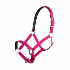 trevlig prisvärd fodrad nylongrimma till häst från hkm charming i fina färger vardagsgrimma slit och släng till hage stall bra pris hästutrustning