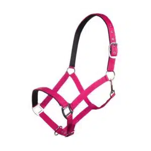 trevlig prisvärd fodrad nylongrimma till häst från hkm charming i fina färger vardagsgrimma slit och släng till hage stall bra pris hästutrustning