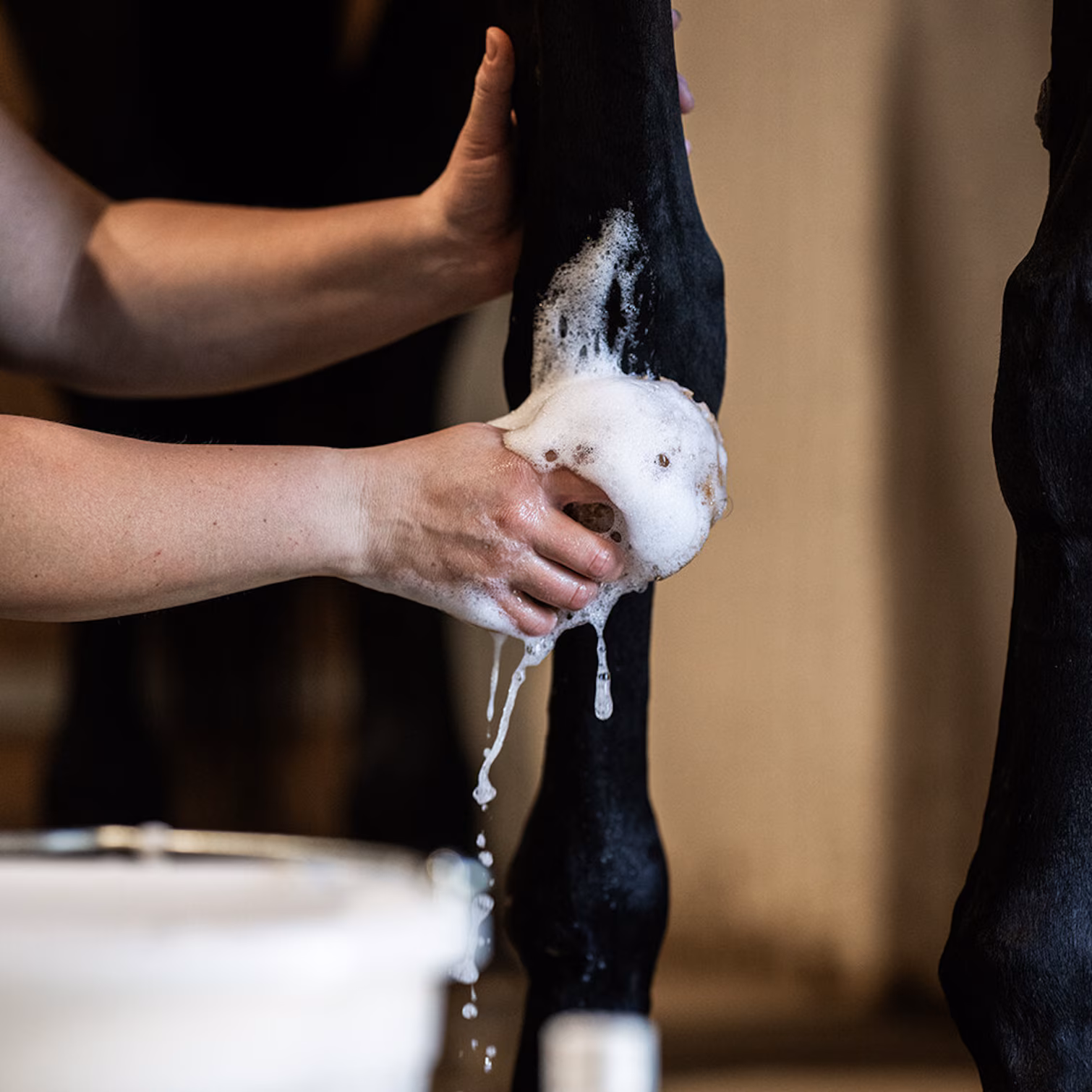 effektivt värmande linimentschampo till häst från eclipse biofarmab 1l för muskelavslappning efter arbete skonsamt djupverkande bra pris hästvård vårdprodukter